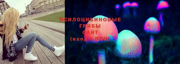 дурь Горняк