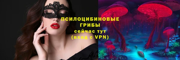 ПСИЛОЦИБИНОВЫЕ ГРИБЫ Дмитриев