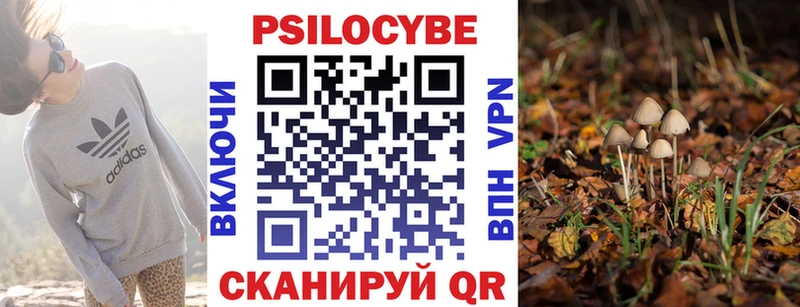 наркота Десногорск Псилоцибиновые грибы Magic Shrooms