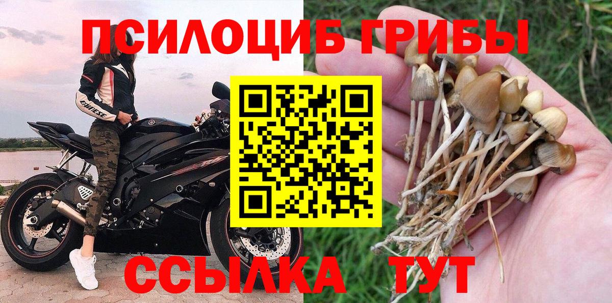 Галлюциногенные грибы Magic Shrooms  Вход с VPN  хочу   Десногорск 